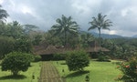 印尼中爪哇之遊園驚夢：一座百年咖啡種植園的前世今生