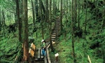 太平山翠峰湖環山步道低於25分貝，獲「國際寧靜公園」授證為全球首條寧靜步道