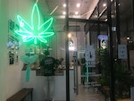 泰國大麻合法化 商家百花齊放