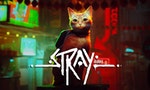 【電玩】《Stray》不是一部「貓咪模擬」遊戲，而是人類獻給貓咪的一封情書