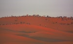 P__151_觀光旺季，沙丘上擠滿看夕陽的遊客客