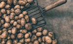 《美食也吹牛》：在這麼多偏見的阻撓下，馬鈴薯是如何一路走進所有歐洲的廚房裡？