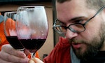 為什麼專家相較於一般人，更能夠喝出葡萄酒的「品質」？