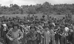 6-1945年4月25日，美軍佔領伊江島後，當地孩子排隊拍照。（沖繩縣公文書館典