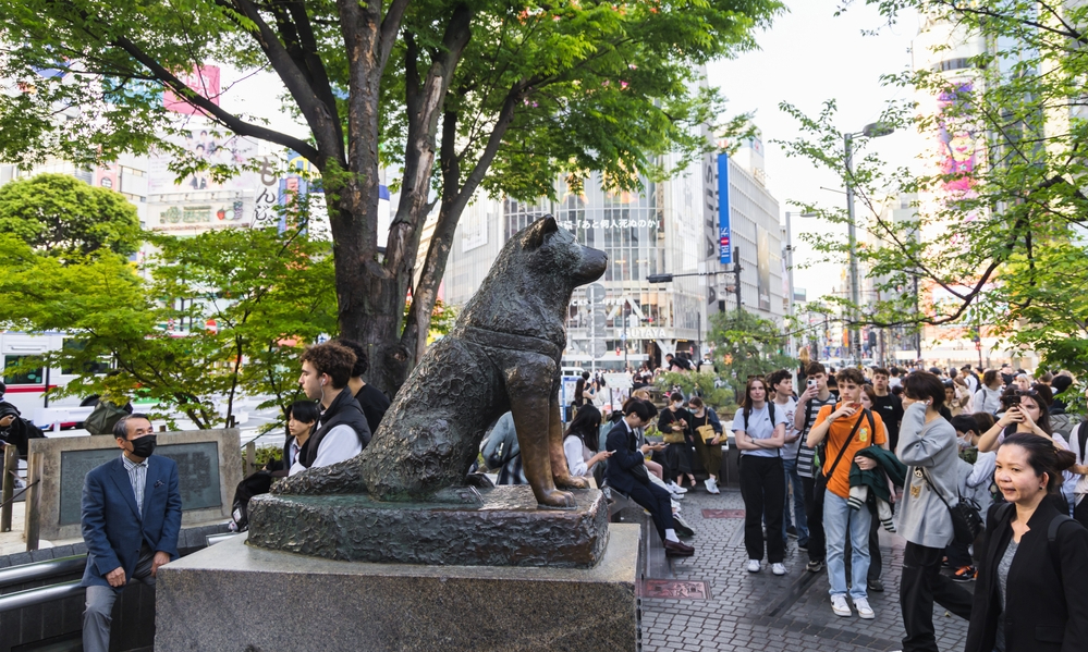 日本「忠犬八公」百歲冥誕，歷經昭和、平成、令和年代人氣歷久不衰