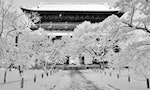 圖1：「南禪寺」的雪景