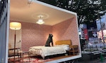 八公忠犬雕像東京澀谷裝置藝術房間部屋