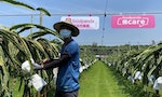 【一圖看懂】熊媽媽宣布停業後，台灣「生鮮＆食品電商」該如何因應疫情後衰退？