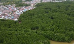 印尼政府積極建設新首都努山塔拉，土地價格飆漲使居民賣地致富