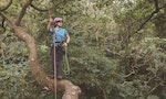 【專訪】台灣首位女攀樹師許荏涵：攀樹運動跟日常生活的距離，並沒有那麼遠
