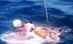 罪行海洋 EP1：10分鐘海上殺戮影片瘋傳，當中的涉事船隻「屏新101號」船旗國是台灣