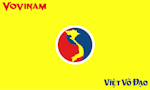 Vovinam_Flag