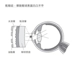 一輩子的好視力p109圖